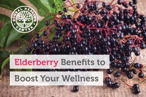 elderberry-benefits-to-boost-your-wellness-BLOG-300x200