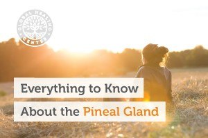 everything-to-know-about-the-pineal-gland-blog-300x200