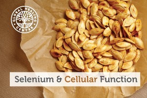is-selenium-an-antioxidant-blog-300x200