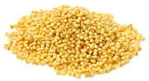 millet1-small