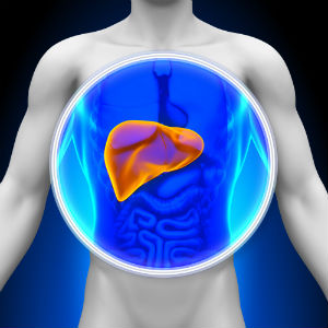 liver-infographic