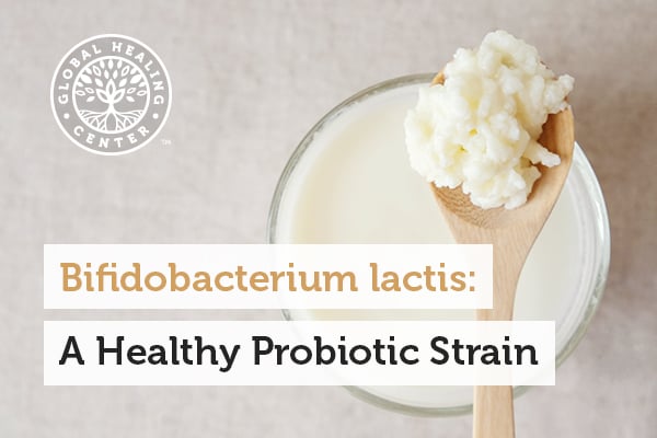 bifidobacterium-lactis