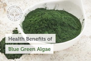 blue-green-algae-blog-300x200