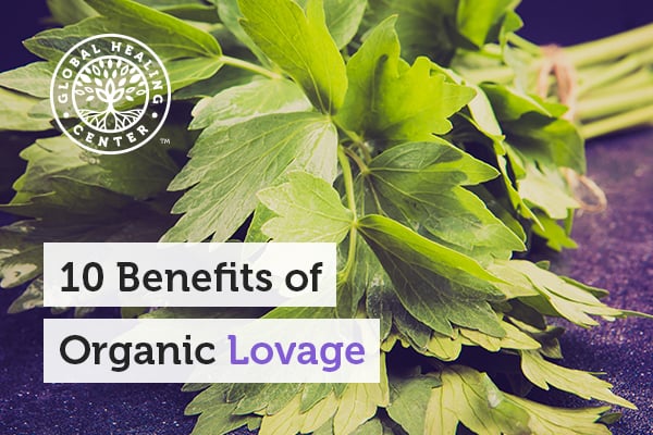 lovage