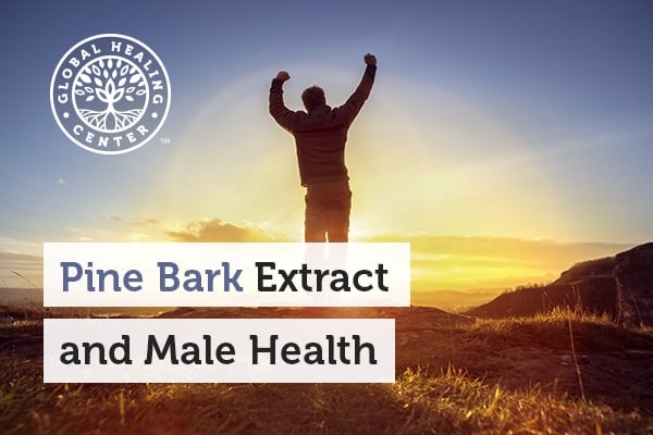 pine-bark-extract