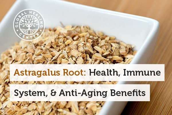 astragalus-root