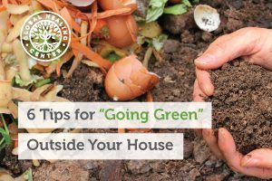 going-green-blog-300x200