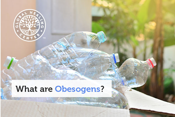 what-are-obseogens