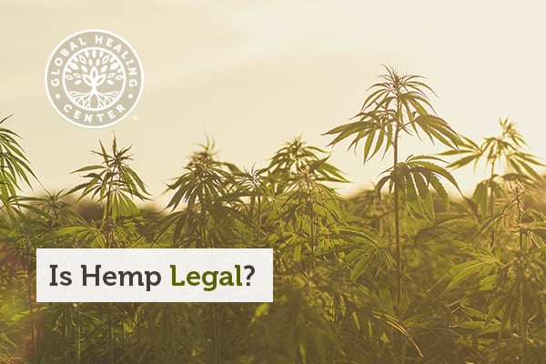 is-hemp-legal