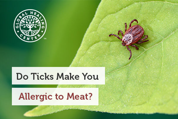 tick-allergy-to-meat