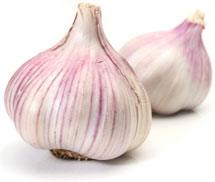 garlic