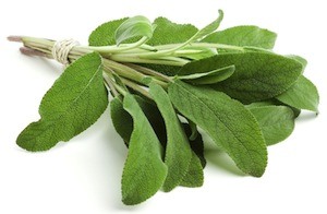 sage-bunch-small