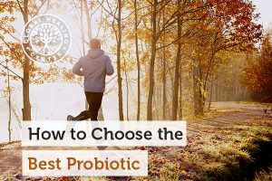 best-probiotic-300x200