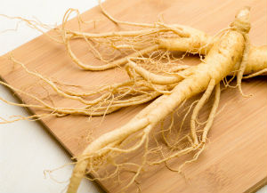 ginseng-root