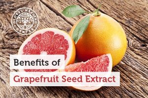grapefruit-seed-extract-300x200