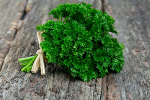 parsley_1