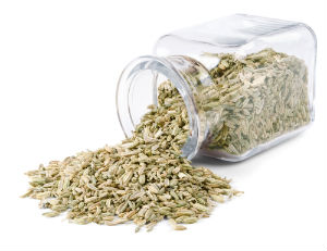fennel-seeds