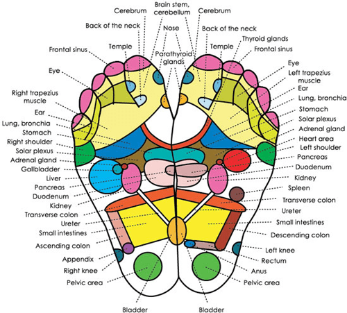 reflexology-points-diagram
