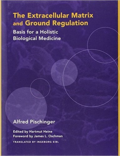 the_extracellular_matrix_and_ground_regulation