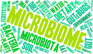 gut-microbiome-1