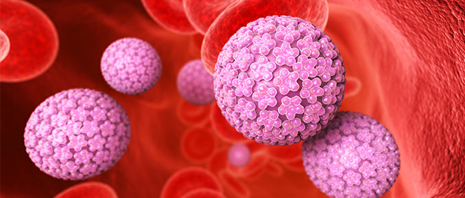 hpv-virus-cancer-epigenetics-678x289