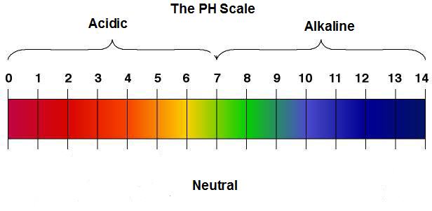 alkaline-alkalinity