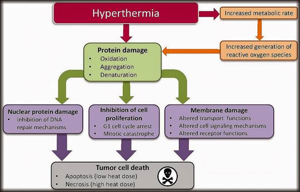 low-body-temperature