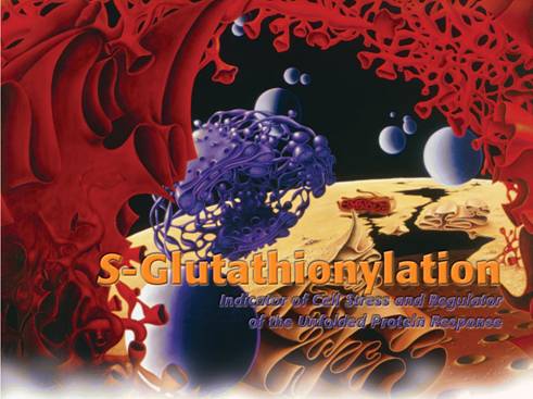 S-Glutathionylation
