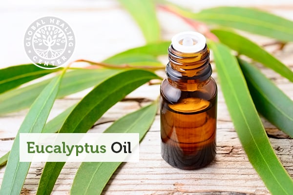 eucalyptus-oil