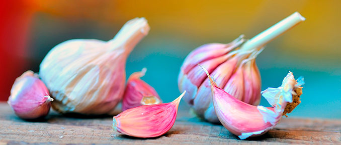 Garlic-epigenetics-678x289