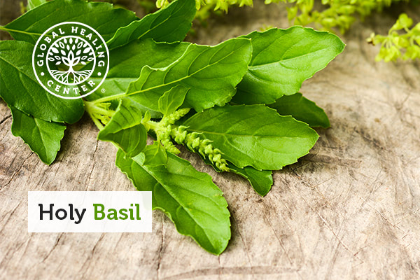 holy-basil