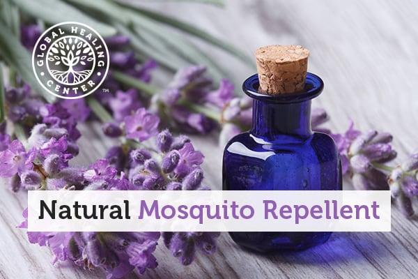 natural-mosquito-repellent