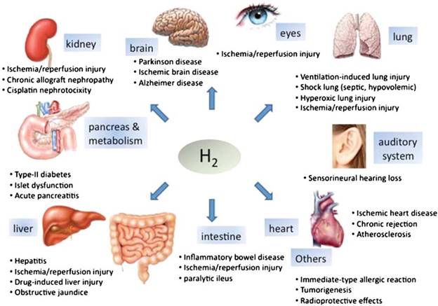 miracle-of-hydrogen-3