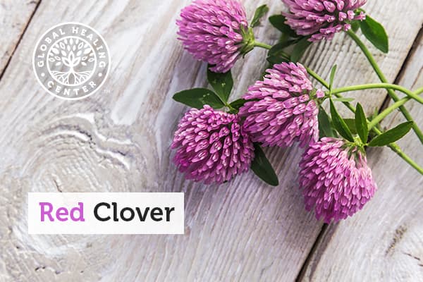 red-clover