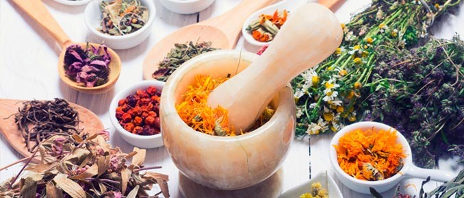 wutou-herb-epigenetics1-678x289