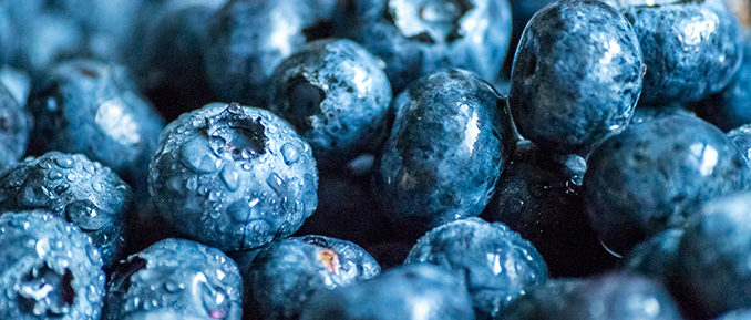 blueberries-epigenetics-health-678x289