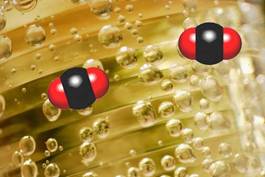 carbon-dioxide-for body-metabolism