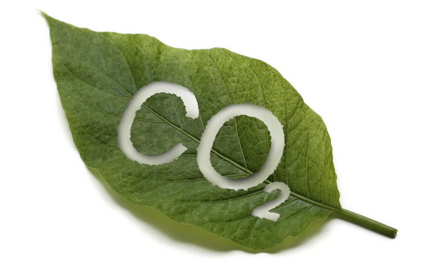 Carbon-dioxide-leaf_compressed
