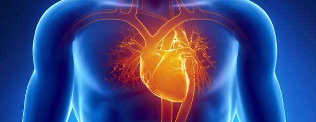 understanding-heart-disease