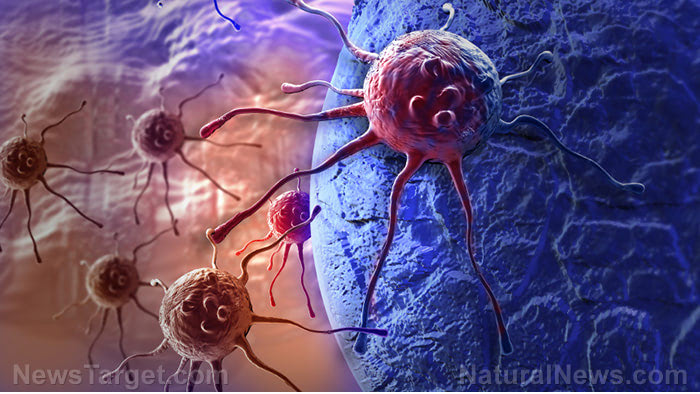 Cancer-Cell-Attack-Body-Virus-Bacteria