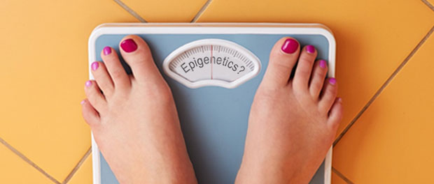 epigenetics-obesity-plastic