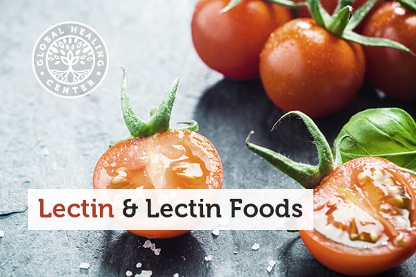 lectin