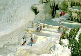 mg-bicarbonate-mitocchondrial-cocktail