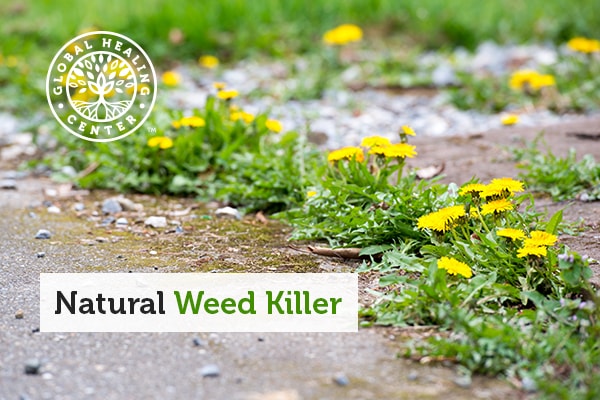 natural-weed-killer