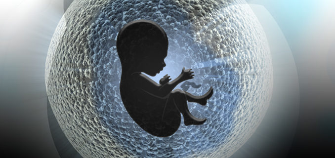 womb-epigenetics-678x320