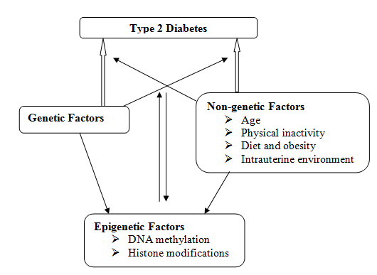 diabetes-type2-epigenetic-fig2