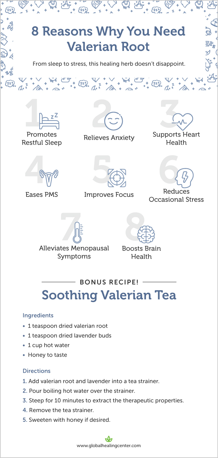 valerian-root-benefits-infographic