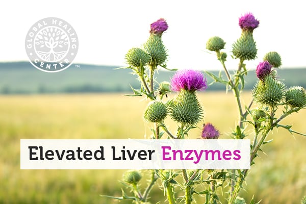 elevated-liver-enzymes