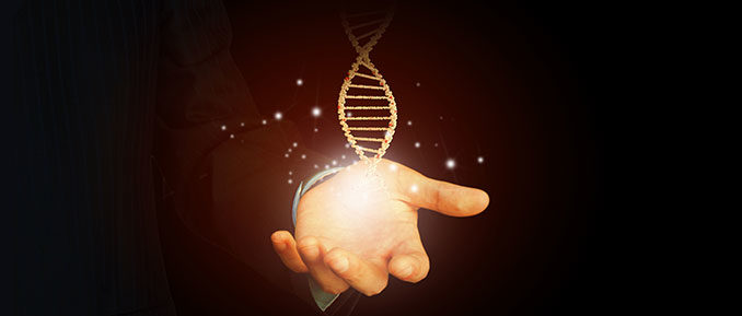 holding-dna-aging-678x289