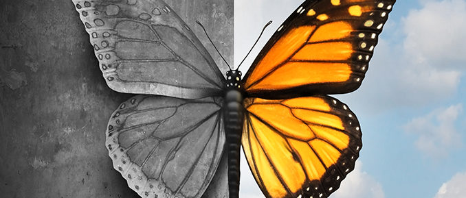 bipolar-epigenetics-678x289